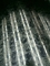 Z180 a laminé à froid les bobines en acier galvanisées par plaque d'acier de haute résistance SPCC SPCD 0.61*1250mm
