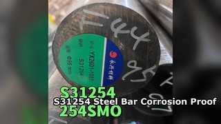 S31254 SMO254 Barre en acier inoxydable 300 mm